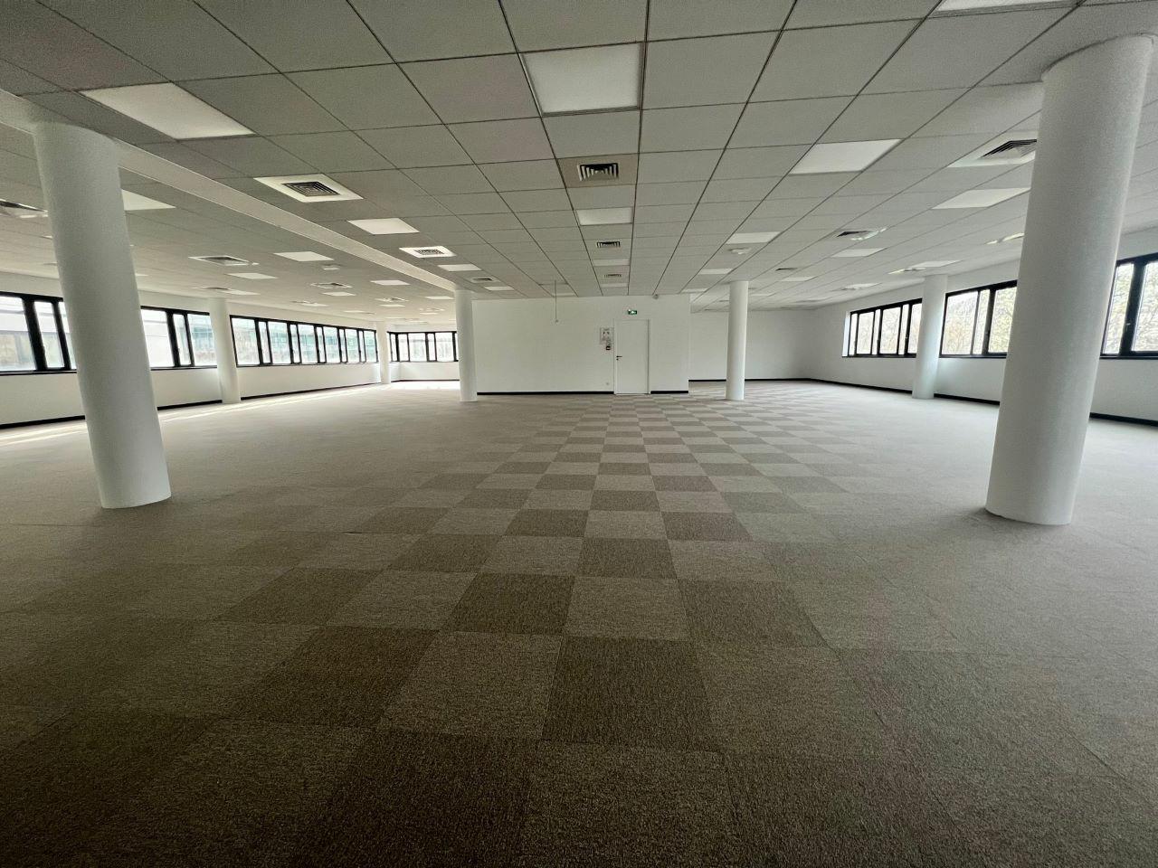 Bureau Lyon 1185m² Location bureau Lyon Rhône OLBUR2108809 9